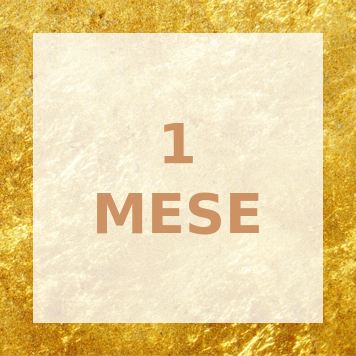 1MESE